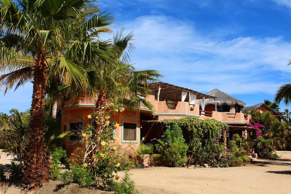 Flora Del Mar Hotel Todos Santos Eksteriør billede
