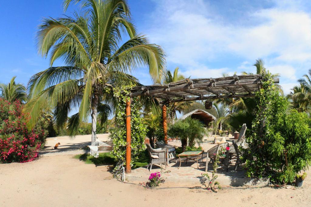 Flora Del Mar Hotel Todos Santos Eksteriør billede